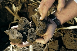 soil being tested for soil compaction