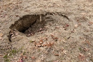 sinkhole in the ground