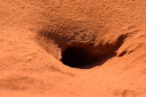 sinkhole in the red soil ground