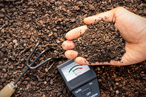 using soil moisture meter to test soil moisture contents