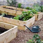 vegetable flower garden with raised beds