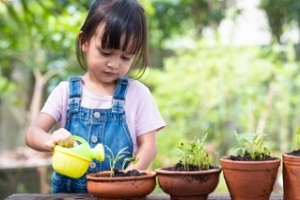 cute little girl watering the home plants