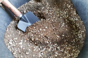 well prepared cactus soil in a buck