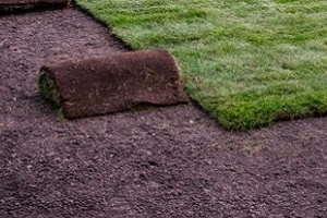 sod placement