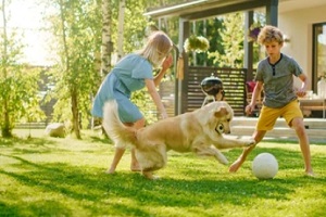 children playing with dog in backyard
