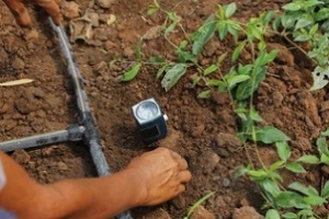 man testing soil ph level with machine