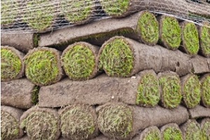 packed sod layers