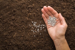 adult woman palm pouring gray complex fertiliser granules on dark brown soil