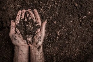 man hands in gardening soil