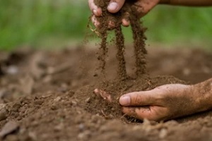 man testing gardening soil with hands
