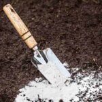 mixing dolomitic limestone powder in garden soil