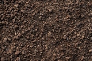 dark textured soil