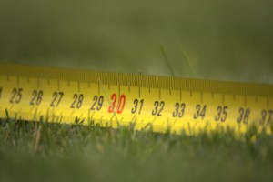 A centimeter measurement tap is placed on the grass