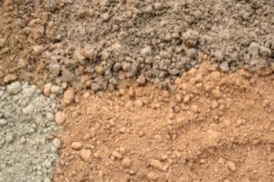 The surface of natural silt soil