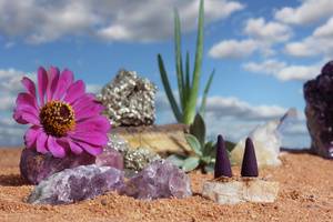 A flower, an aloe vera plant, and pebbles on red sand