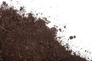 Unscreened topsoil