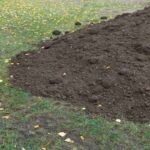 A pile of topsoil in the lawn