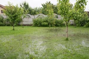 Flooded lawn area