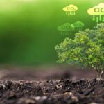 Bio carbon in topsoil