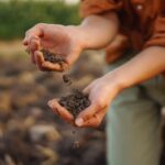 hand of farmer woman checking soil health before growth a seed of vegetable or plant seedling