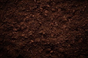 dark nutrients rich soil