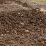 Northern Virginia loam soil for garden