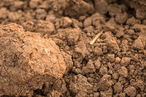 raw soil in the garden