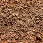 Northern VA cannabis soil close up