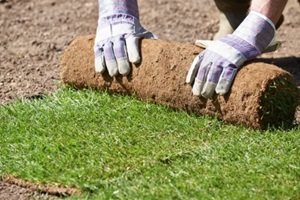 grass installation in the landscaping