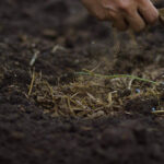 Northern Virginia custom soil mix with farmer hand