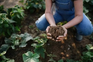 female famer hands holding Northern VA custom soil mix outdoors at community farm