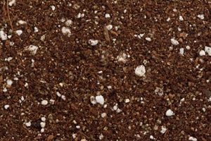soilless growing potting mix of coconut coir vermiculite and perlite closeup of texture of particles