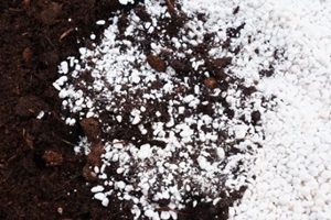  Northern VA mixed soil and Perlite for plants