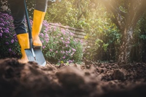 worker digs soil with shovel in colorful garden