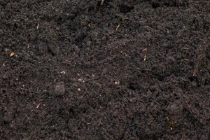 soil mixed with rice hulls